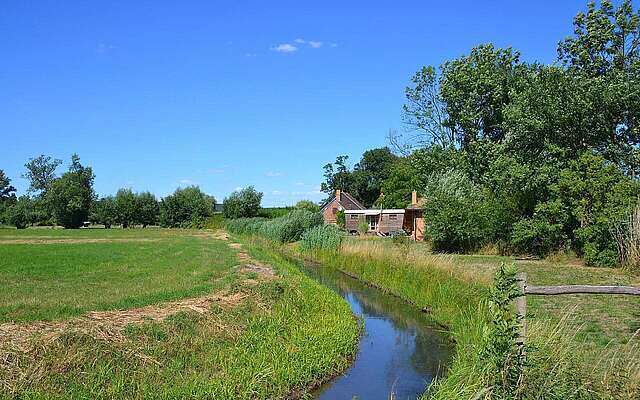 Oderbruch bei Zollbrücke