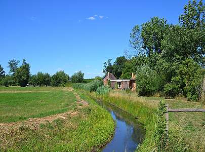 Oderbruch bei Zollbrücke
