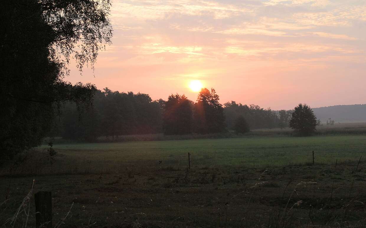 Idylle in der Prignitz: Sonnenuntergang im Rambower Moor.