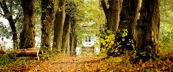 Allee zum Gut Boltenhof