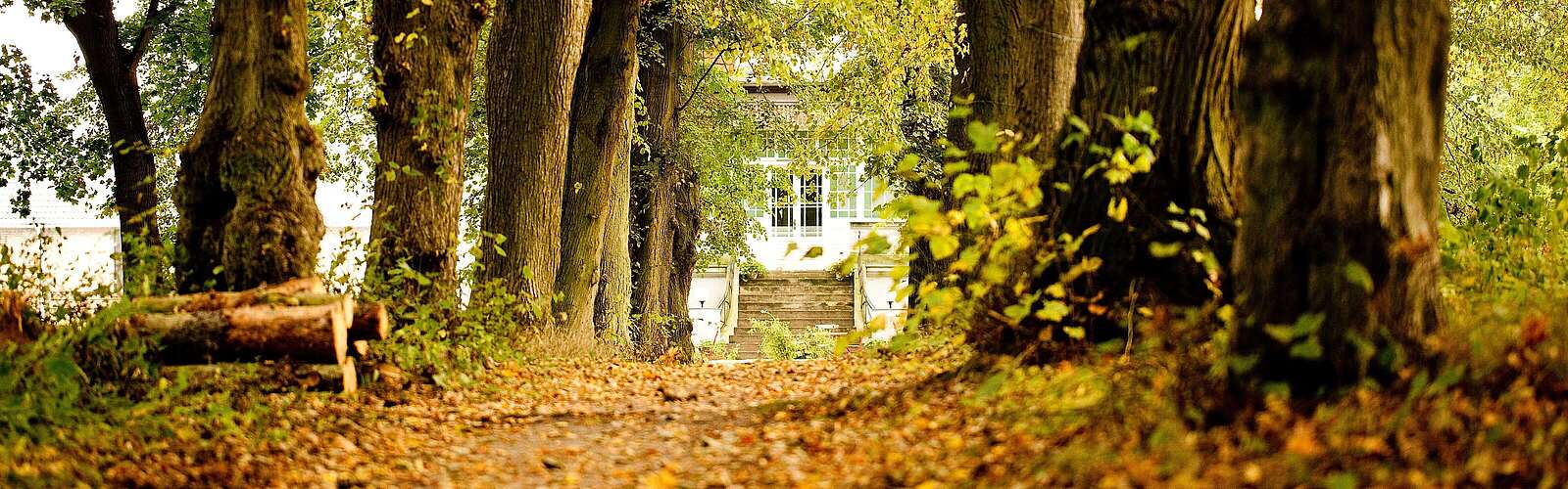 Allee zum Gut Boltenhof