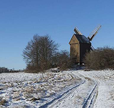Bockwindmühle Borne