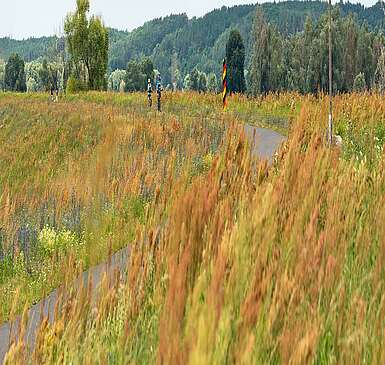 Oder-Neiße-Radweg