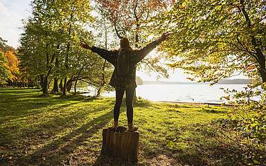 Am Stechlinsee im Herbst