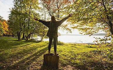 Am Stechlinsee im Herbst