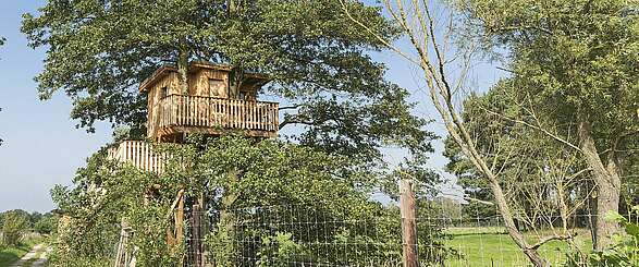Baumhaus auf Gut Gollin