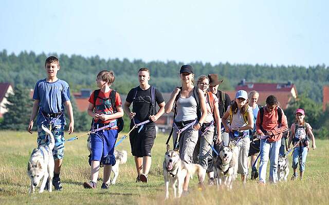 Wanderung mit Huskies