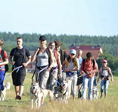 Wanderung mit Huskies