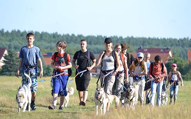 Wanderung mit Huskies