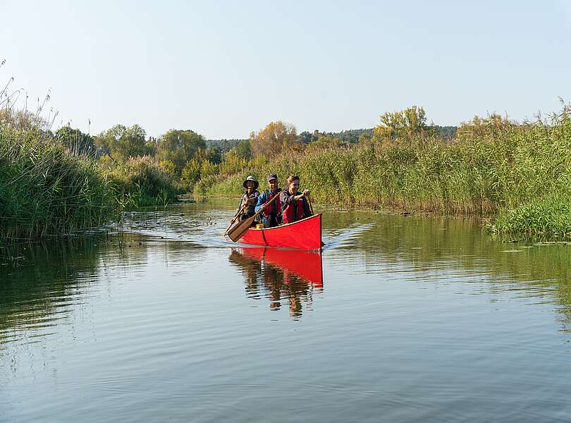 Kanutour im Nationalpark Unteres Odertal
