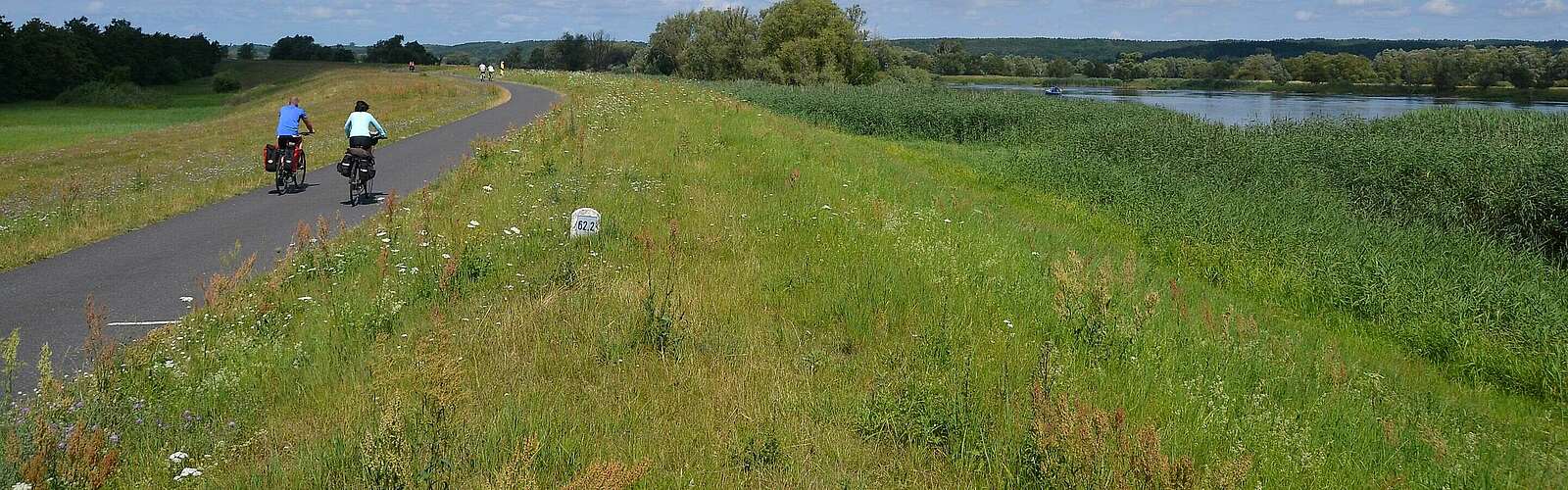 Zwei Radfahrer auf dem Oder-Neiße-Radweg