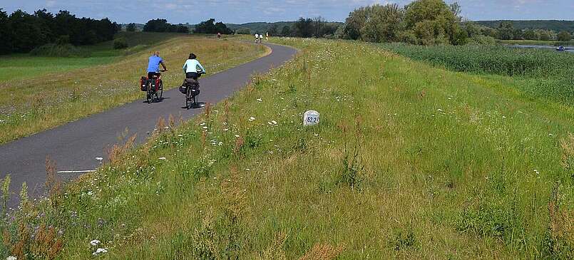 Fünf Ausflugstipps auf dem Oder-Neiße-Radweg