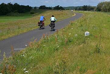 Zwei Radfahrer auf dem Oder-Neiße-Radweg