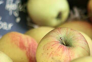 Äpfel im Hofladen
