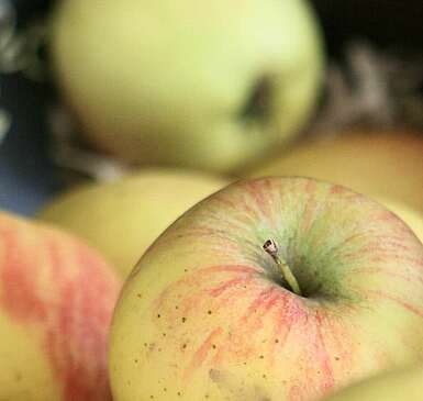 Äpfel im Hofladen
