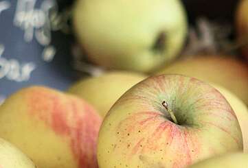 Äpfel im Hofladen
