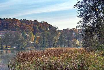 Blick über den Schermützelsee