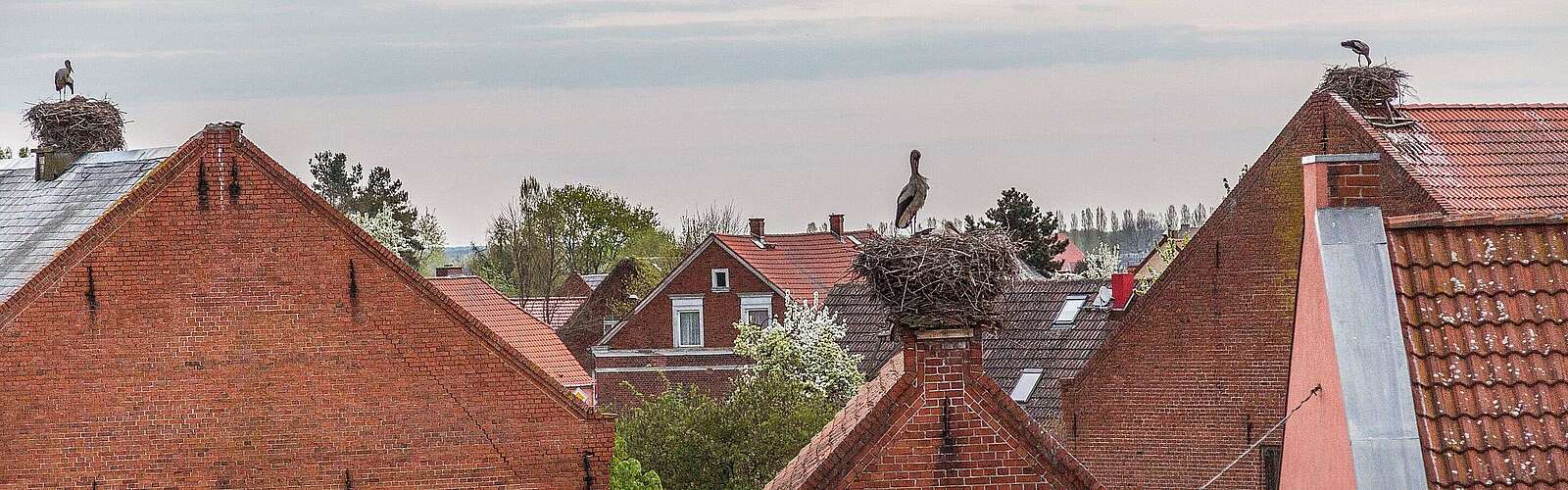 Die Dächer des Storchendorfes Rühstädt