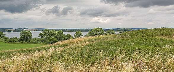 Blick auf den Dammsee bei Fürstenwerder