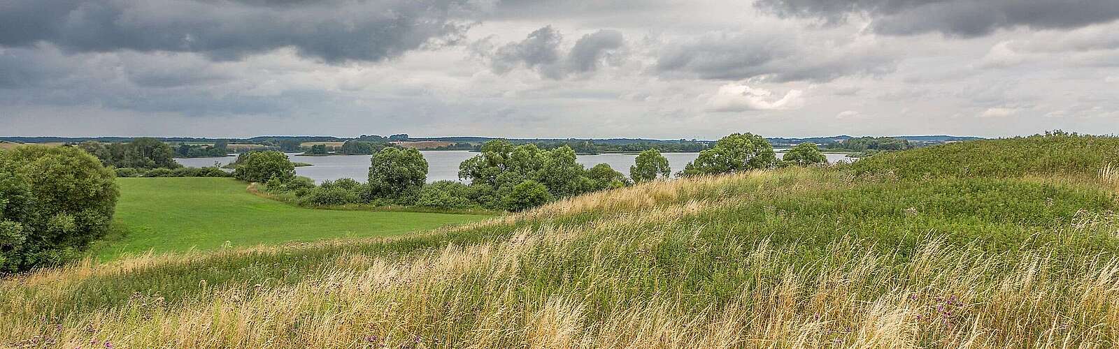 Blick auf den Dammsee bei Fürstenwerder