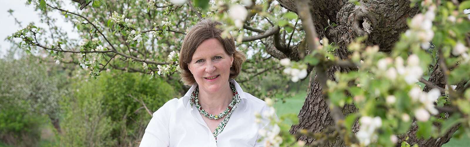 Die Apfelgräfin Daisy von Arnim
