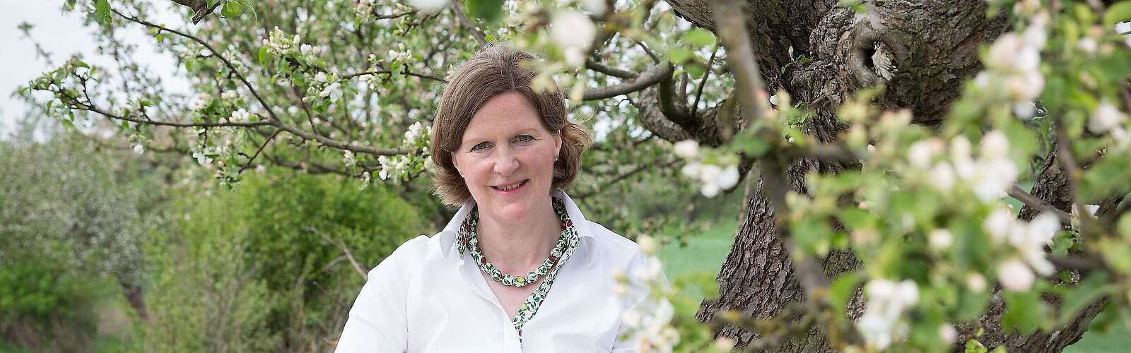 Die Apfelgräfin Daisy von Arnim