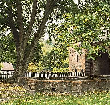 Herbstwanderung zum Kloster Chorin