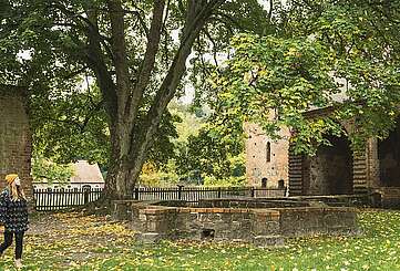 Herbstwanderung zum Kloster Chorin