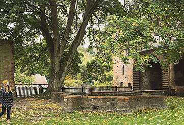Herbstwanderung zum Kloster Chorin