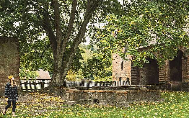 Herbstwanderung zum Kloster Chorin