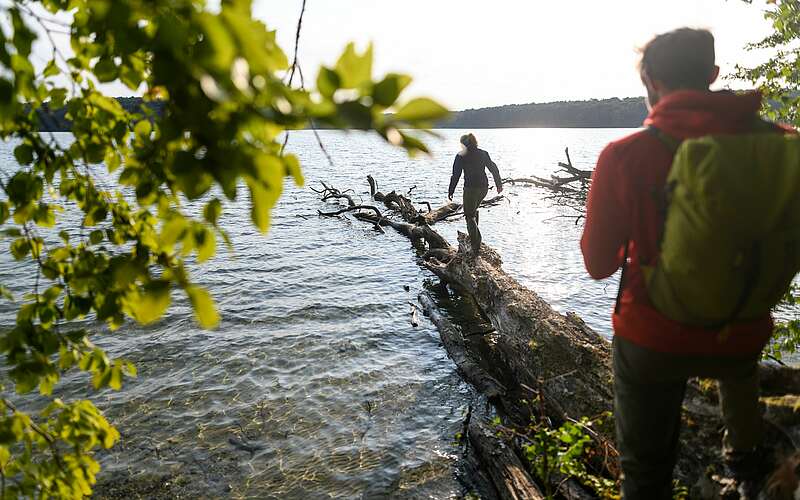 Wanderer am Stechlinsee