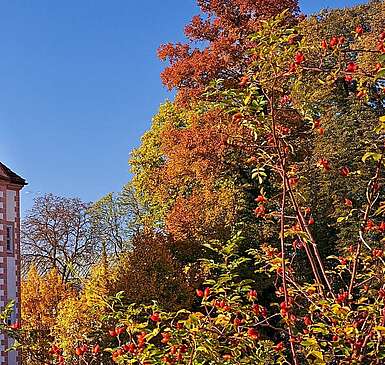 Schloss Königs Wusterhausen