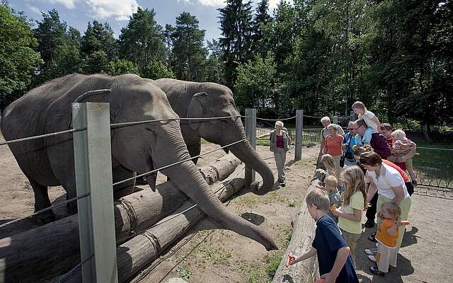 Tierpark Cottbus Tierpark Cottbus