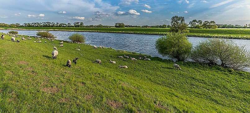 An der Elbe bei Rühstädt