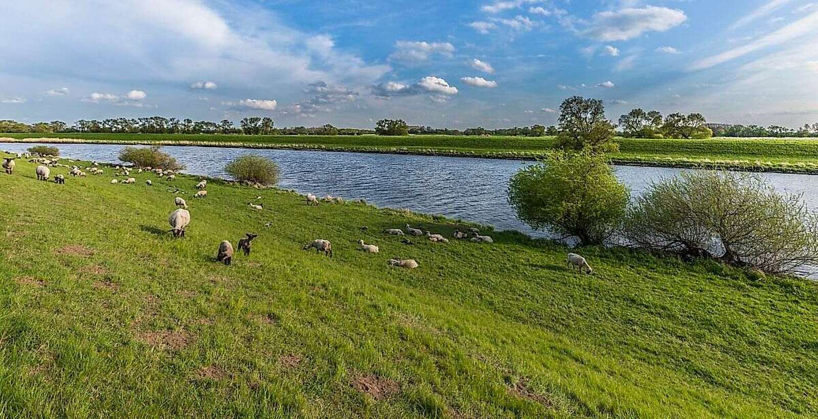 An der Elbe bei Rühstädt