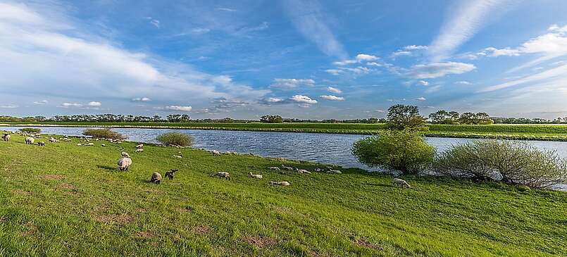 An der Elbe bei Rühstädt