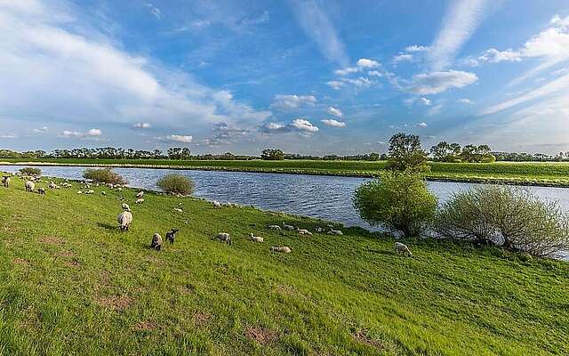 An der Elbe bei Rühstädt