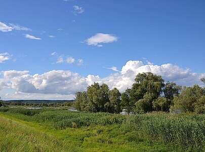 An der Oder