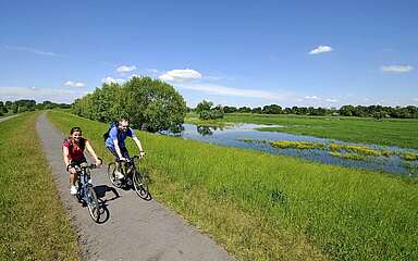 Radfahrer auf dem Oder-Neiße-Radweg