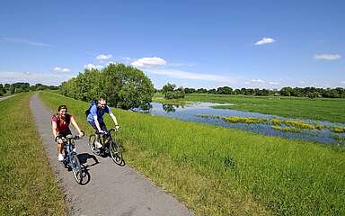Radfahrer auf dem Oder-Neiße-Radweg