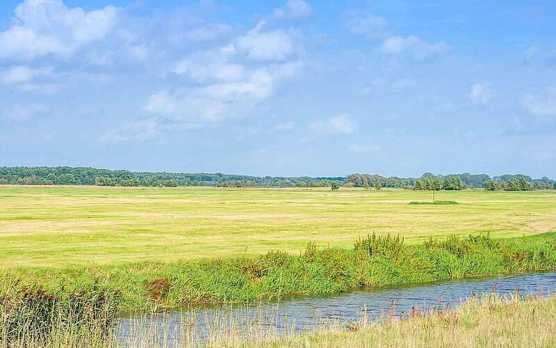 Die Weite der Natur hinter der Löcknitz