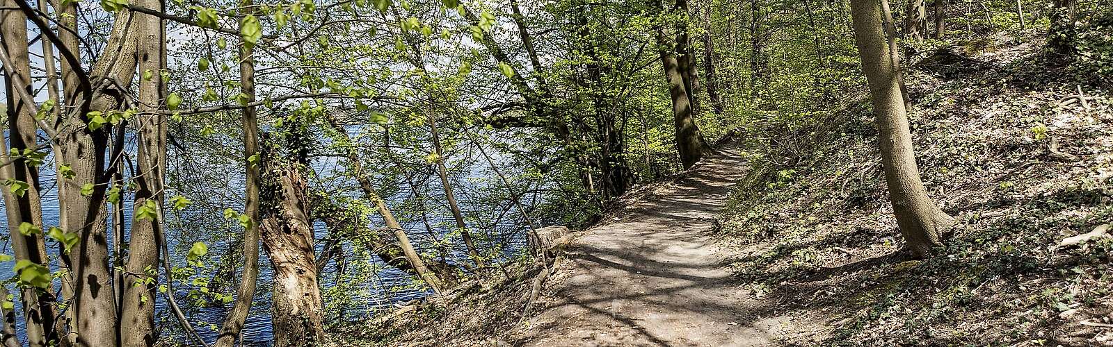Wanderweg am Wasser bei Rüdersdorf