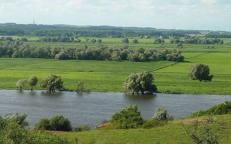 Blick in den Nationalpark Unteres Odertal