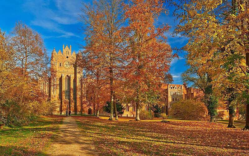 Kloster Chorin im Barnimer Land