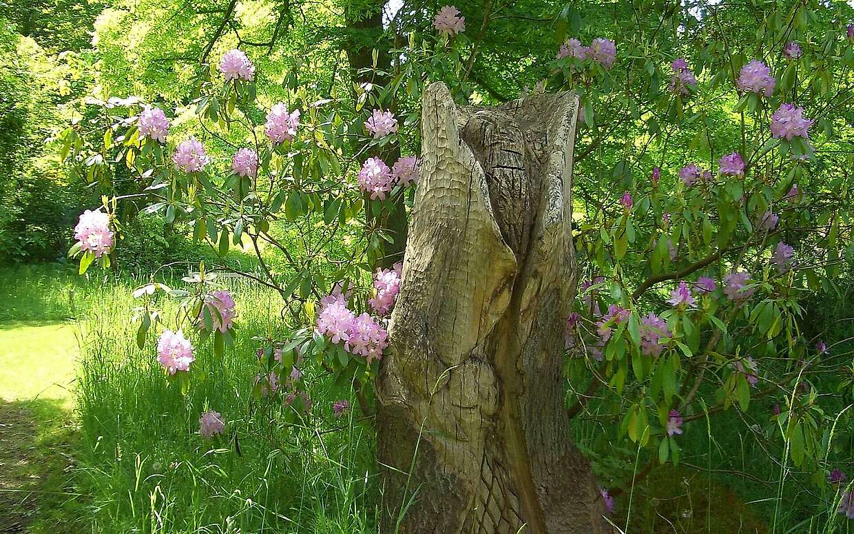 Blühender Rhododendron hinter einer Skulptur aus Holz