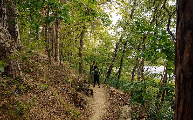 Frau auf dem 66-Seen-Wanderweg
