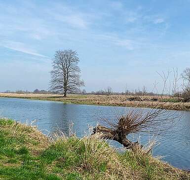 Oderbruch bei Lebus