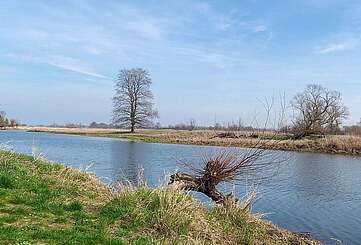 Oderbruch bei Lebus