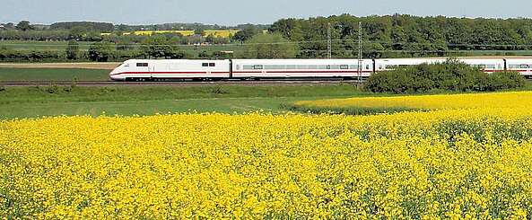 ICE an einem Rapsfeld