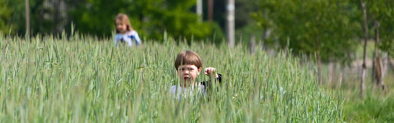 Kinder in Feld